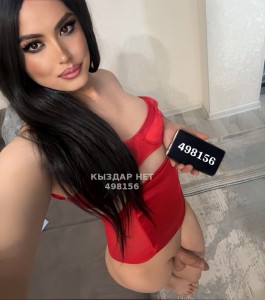 Транс Астаны Транс№498156 Nihan-Приват канал Фотография №3754447