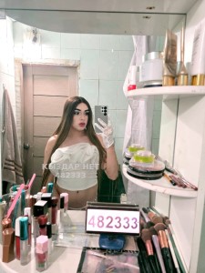 Транс Алматы Анкета №482333 Фотография №3756550