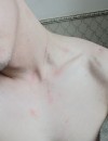 Фотография №3773122